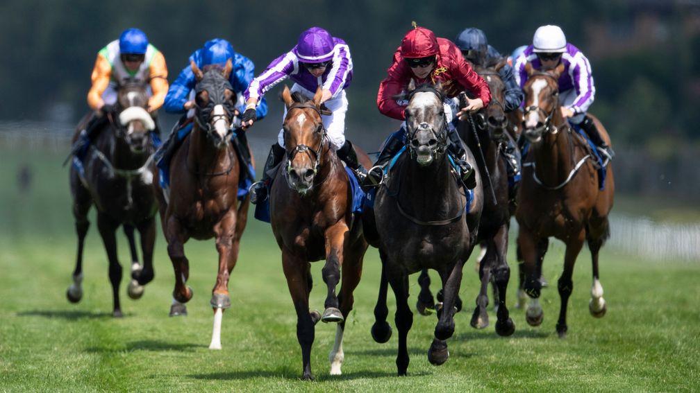 Saxon Warrior: a rematch could be on the cards with Roaring Lion in the Juddmonte International
