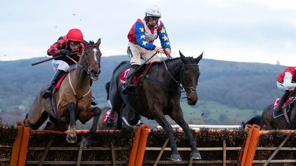 Come On Teddy (right): routed the opposition when winning at Cheltenham in December