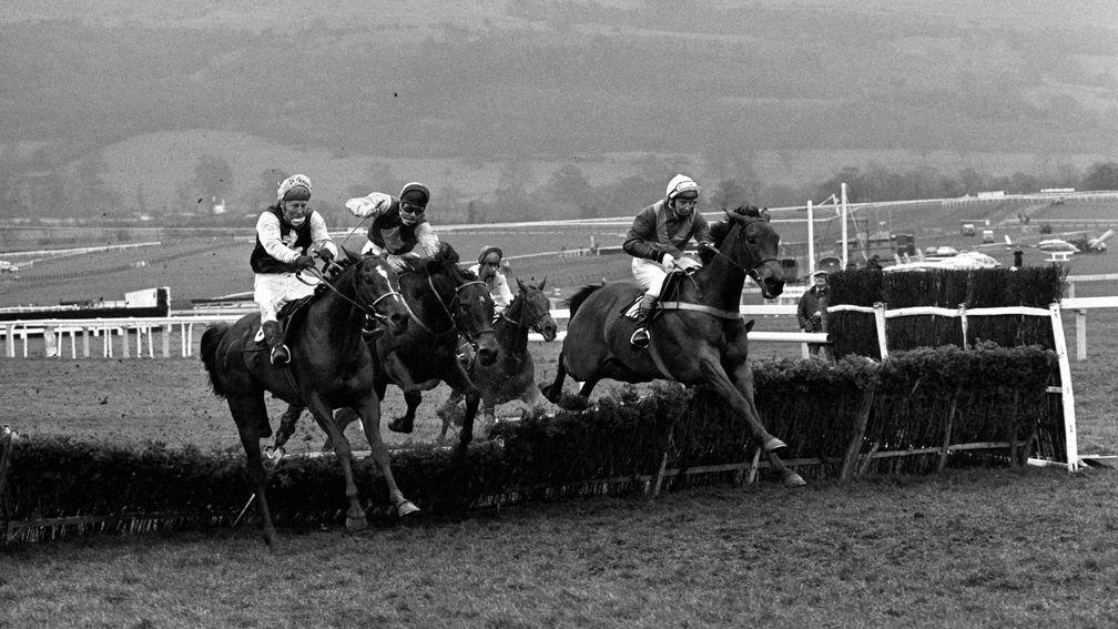 Night Nurse won the Champion Hurdle the season after a special debut at Market Rasen