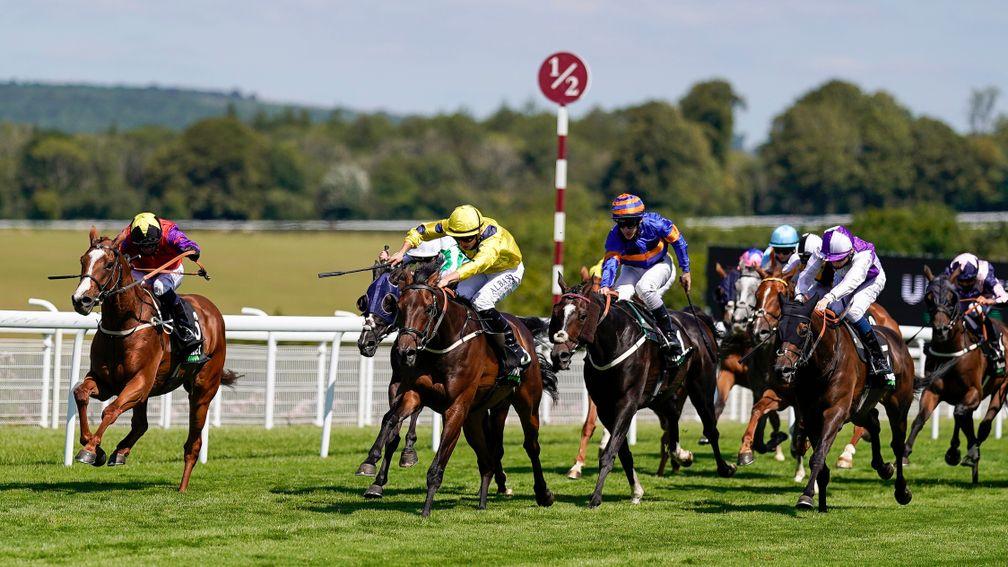 Rochester House (far left) and Smart Champion (purple and white silks) are among those to fight out the finish in the Goodwood Handicap