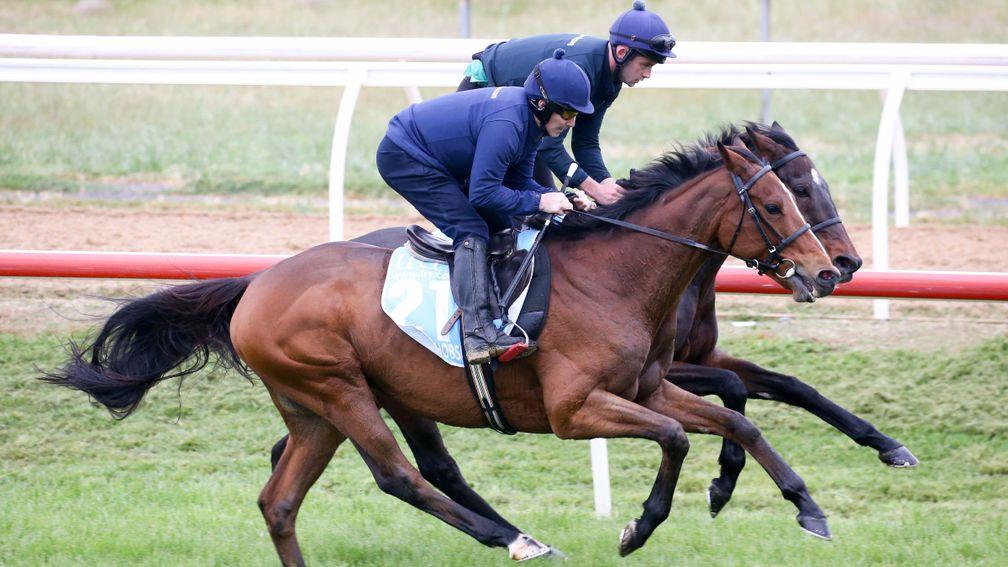 Thomas Hobson looks to go one better than his stablemate Max Dynamite in the Melbourne Cup