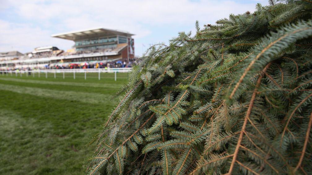 Aintree: the winner of this year's award will be announced at the home of the Grand National on November 8