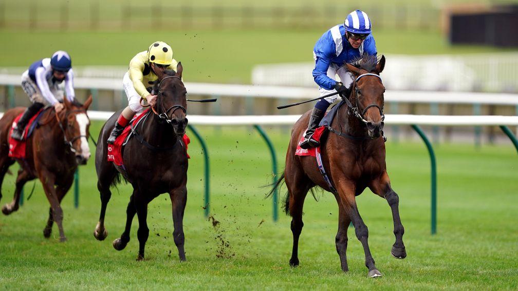 Nazeef: dual Group 1 winner and half-sister to Mostahdaf and 