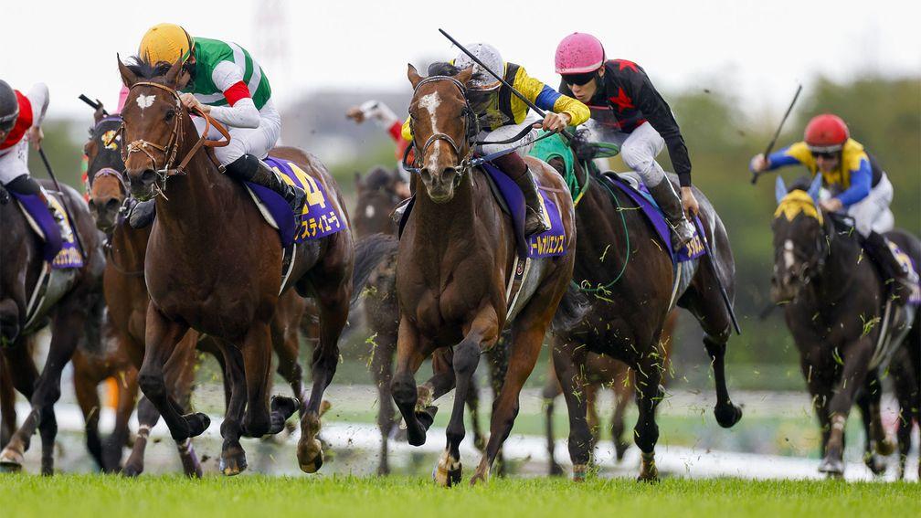 Sol Oriens (white cap) flashes home to claim Japanese Guineas glory at Nakayama