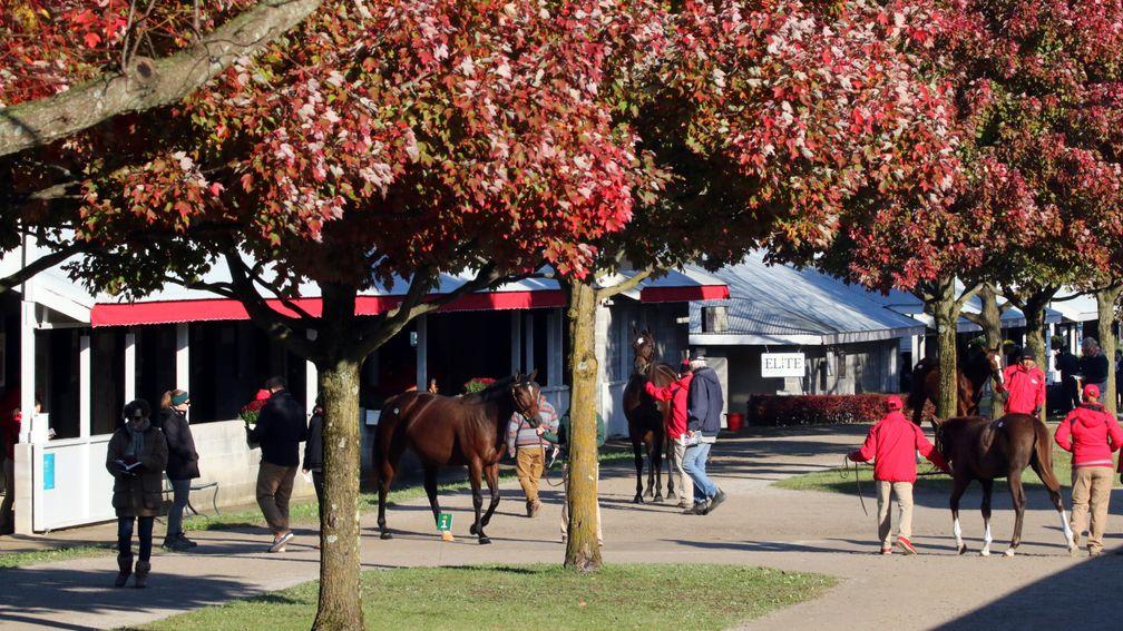 The Keeneland sales ground was a hive of activity the past two days