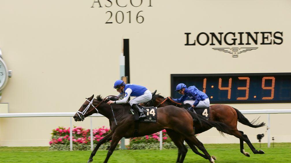 Tepin won the Queen Anne Stakes at Royal Ascot in 2016 for trainer Mark Casse