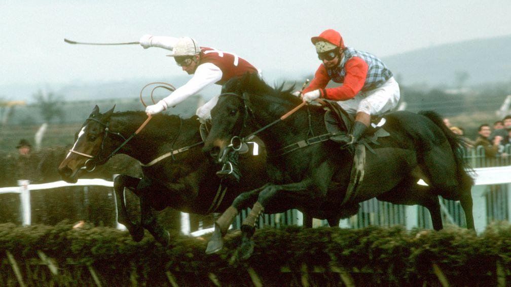 Arch rivals: the winner Monksfield (left) and Sea Pigeon at the last in the 1979 Champion Hurdle