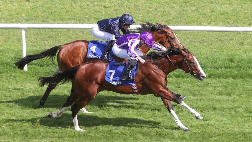 Capulet (far side): narrowly denied by stablemate Diego Velazquez at Leopardstown
