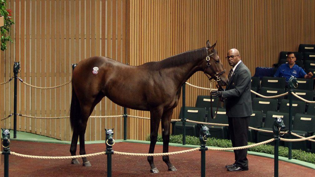 This Warrior's Reward filly shared top billing on the second day of Book 4 at $325,000