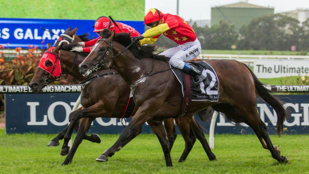 Russian Revolution (2) on his way to winning The Galaxy at Rosehill this year