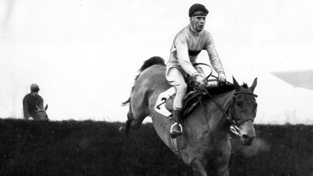 Arkle: legendary horse sold at Goffs in 1960