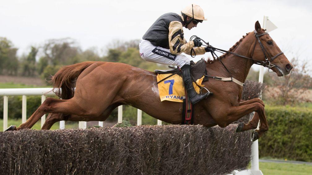 Yorkhill: pulled out stiff following another very disappointing showing at Leopardstown