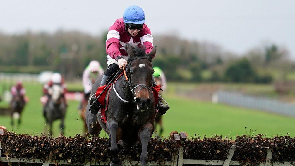 Apple's Jade: has been cut for both the Mares' Hurdle and the Champion Hurdle