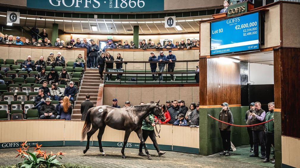 Blackbeard's €2,600,000 sister was top of the pile of yearlings that had to be found a new owner