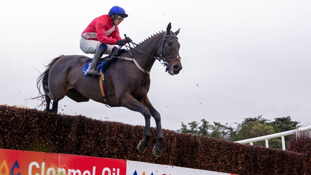 Allaho: made a successful reappearance at Clonmel