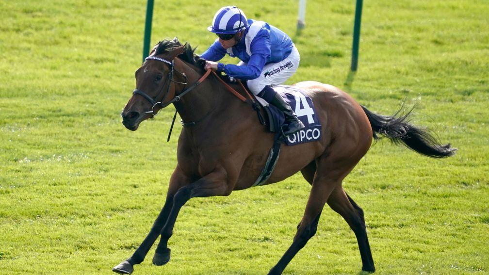 Maqsad: Siyouni filly is out of the Galileo mare Amerique