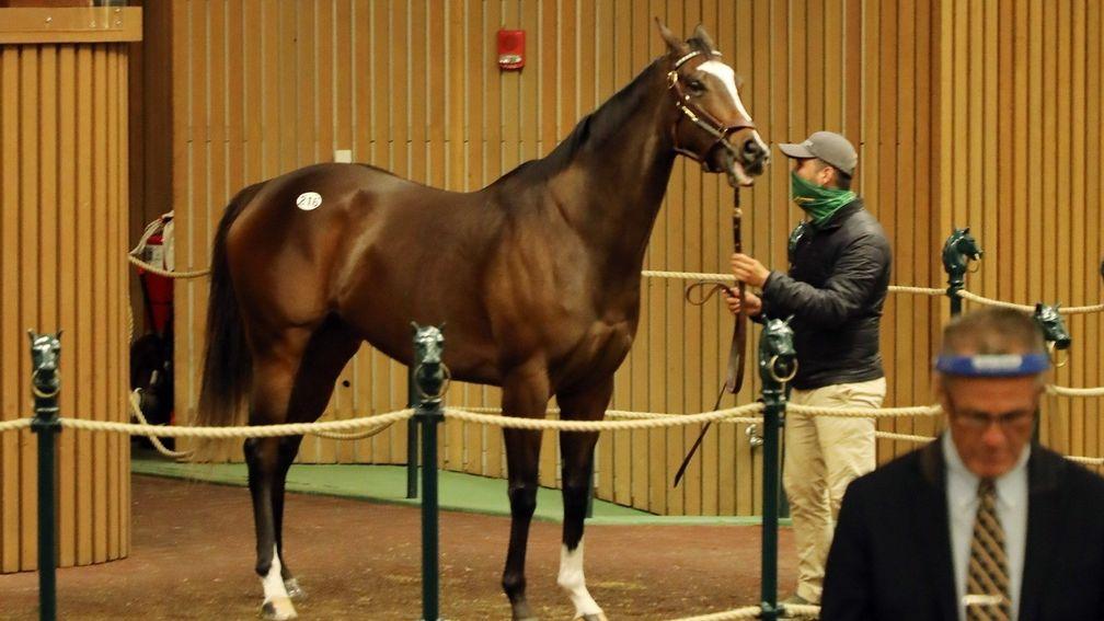 Concrete Rose: ended as the sale-topper at Keeneland November having been bought by Larry Best for $1.95 million