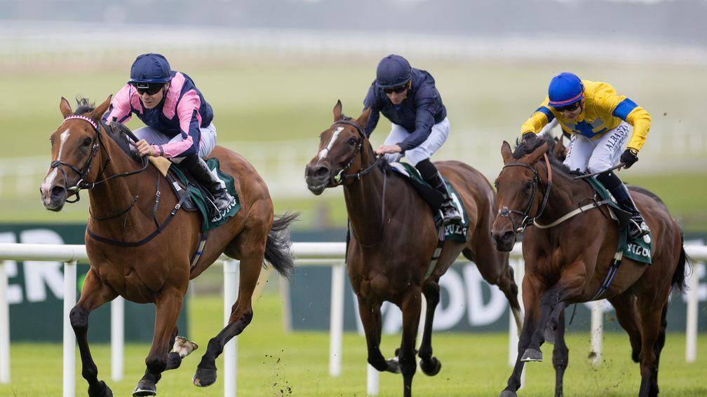 Stay Alert (yellow silks) chases the errant Via Sistina at the Curragh
