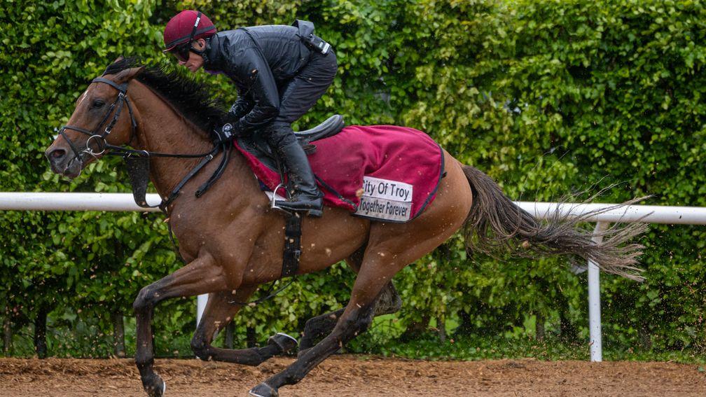 City Of Troy working on Ballydoyle's gallops