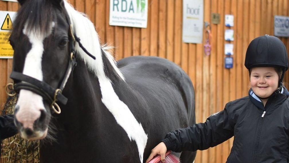 Park Lane Stables have returned to their original yard in a 'Christmas miracle'