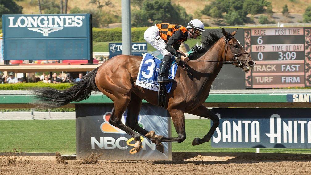 The runaway success of Paradise Woods in the Santa Anita Oaks extends the legacy of her fourth dam Lianga