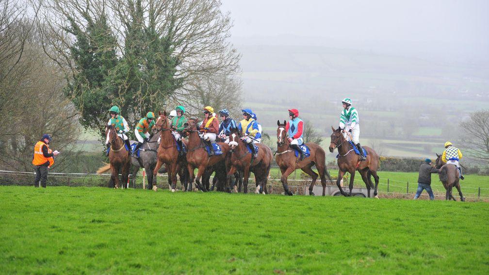 KNOCKANARD PTP 17-2-19.The scene at the County Cork venue with runners at the start.Photo Healy Racing.