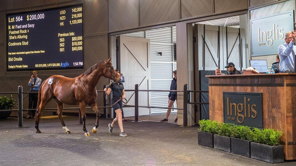 Fast And Sexy: among the trio of mares hammered down for $200,000 each