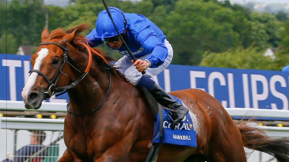 Hawkbill: one of two Godolphin runners in Germany