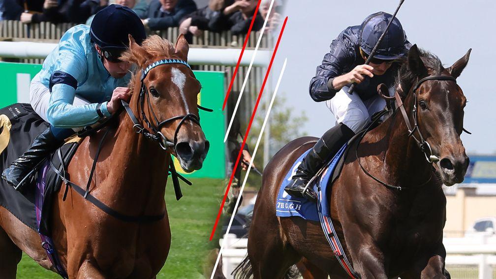 Soprano (left) and Matrika are among the winning newcomers in the field