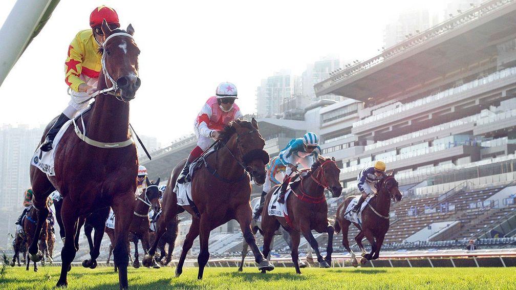 California Spangle was impressive in the Hong Kong Classic Cup and was a good second to Romantic Warrior in the Derby