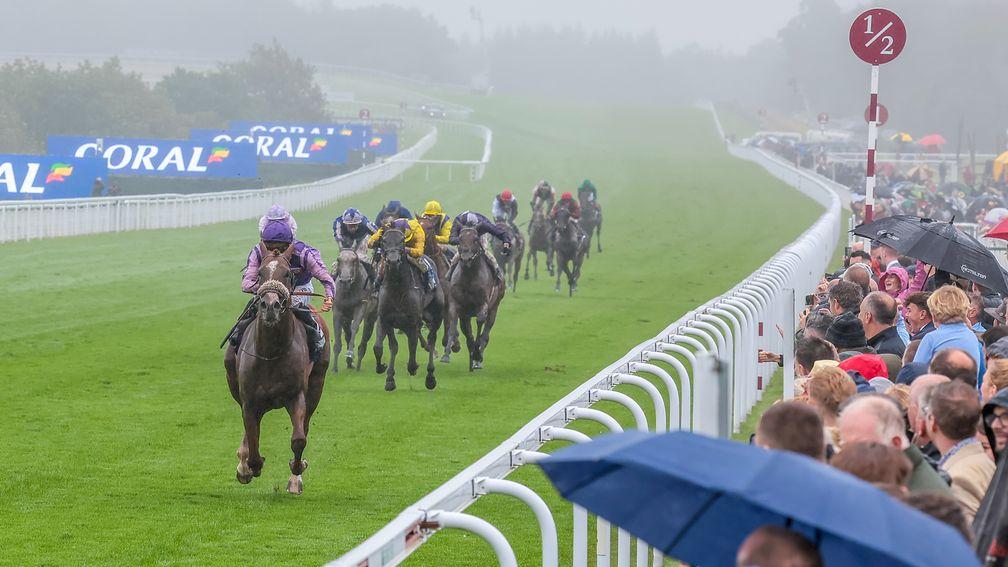 The Goat gallops to victory in treacherous conditions at Goodwood