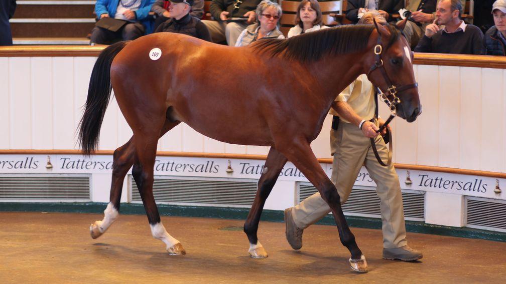 Mogul: brother to Japan knocked down to MV Magnier for 3,400,000gns 