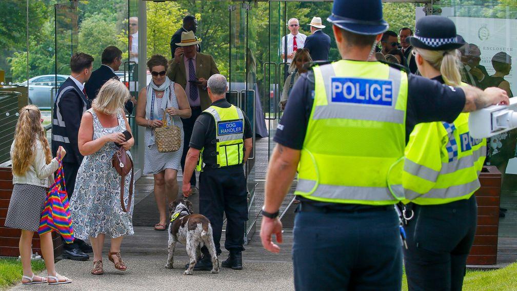 Racegoers seemed unperturbed by sharing their day at Goodwood with sniffer dogs and police officers