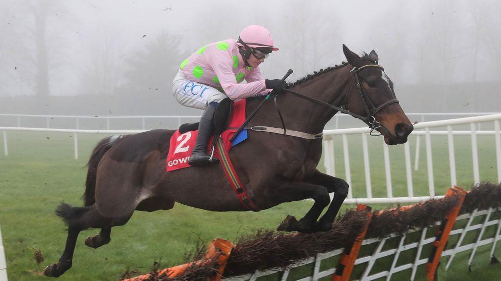 Benie Des Dieux is the joint top-rated hurdler in Ireland after her victory at Gowran