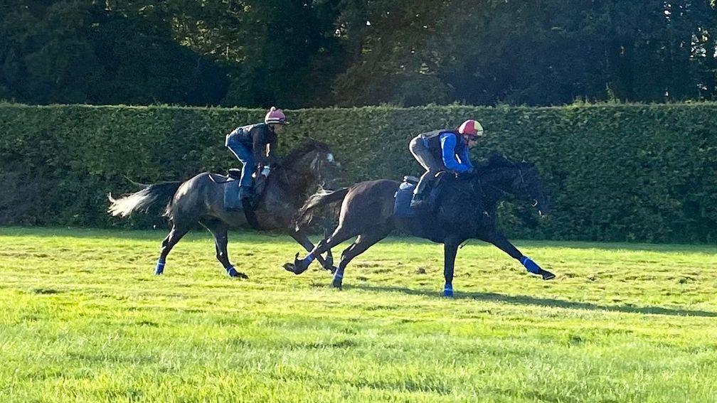 Frankie Dettori in action on Mostahdaf on Saturday morning
