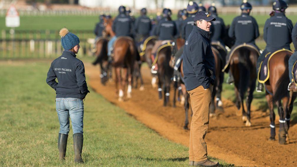Hugo Palmer, and his assistant Angela Davies, watch first lot walk down Warren Hill last month. He is now conducting 'an enormous number of tests' on his string