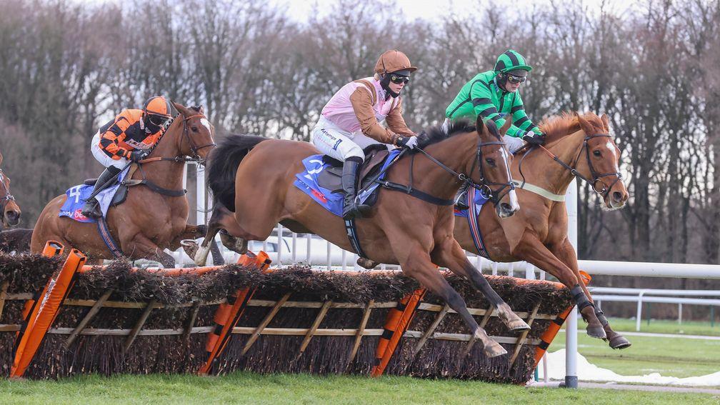 Faivoir: last year's County Hurdle winner could feature in the Sandown feature on Saturday