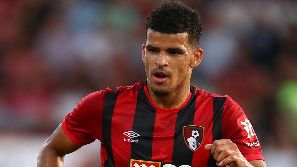 Dominic Solanke of Bournemouth