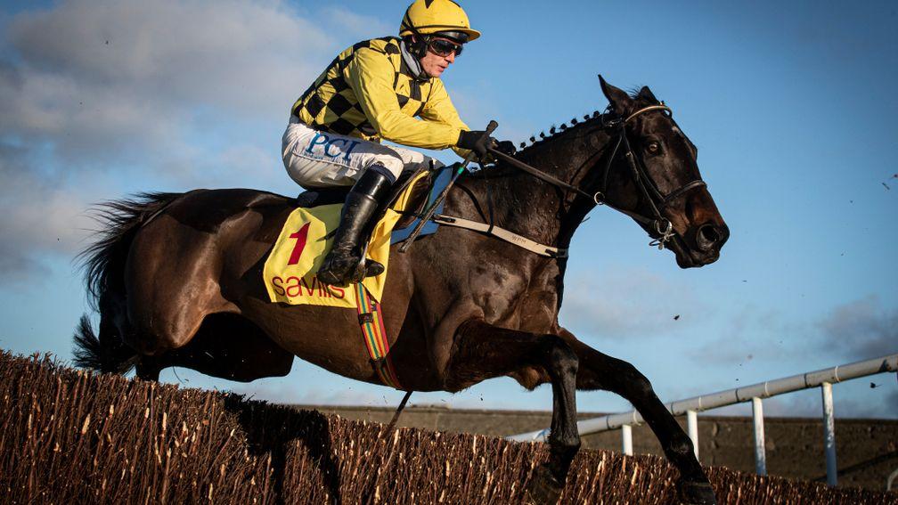 Al Boum Photo: likely to return at Tramore