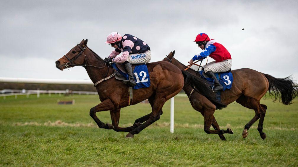 Braganza: returned from a massive absence to win her maiden hurdle at Thurles