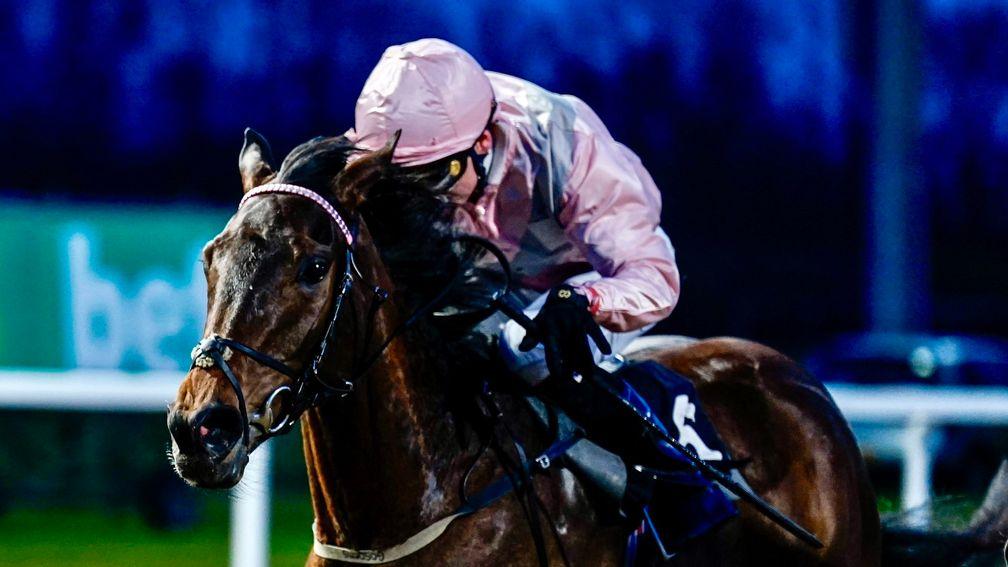 Sea Ice: winning daughter of Too Darn Hot features in the Tattersalls Online April Sale catalogue