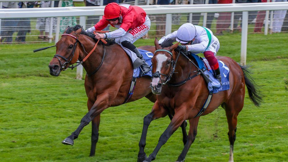 Rogue Millennium (right) just denied by Free Wind in the Middleton Stakes