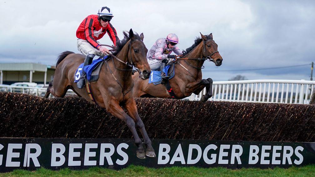 Rapper (left), seen here winning at Wincanton last month, was a shrewd purchase by Henry Daly at only £8,500