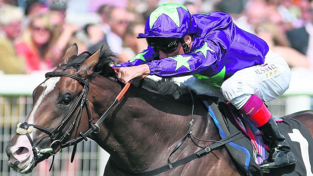 Escobar could prove a live outsider in the 2,000 Guineas for Hugo Palmer