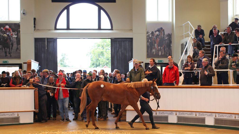 Hence: the sister to Alice Springs takes her turn in the ring before being sold to MV Magnier, the Mayfair Speculators and Peter and Ross Doyle for 2,100,000gns
