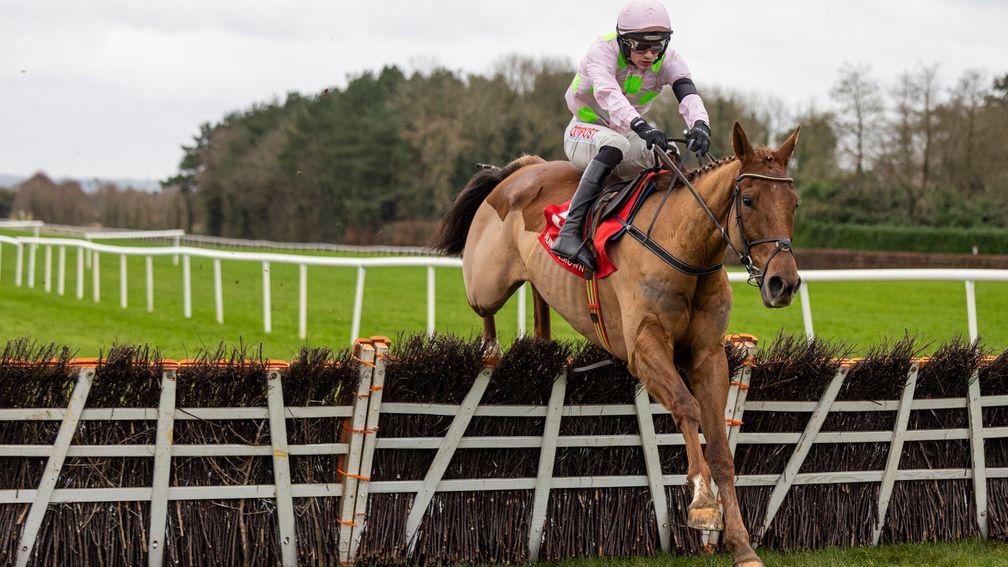 Mercurey (Danny Mullins) wins the 2m maiden hurdle at Punchestown.