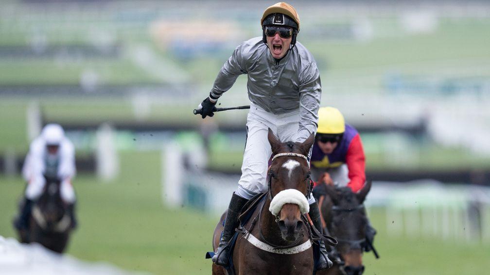 Gold Tweet: a surprise winner of the Cleeve Hurdle at Cheltenham in January