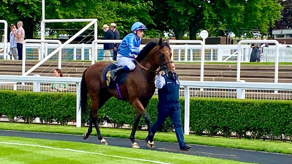 Newmarket: Royal Ascot dream alive for South African owner after Skukuza seals Britannia place