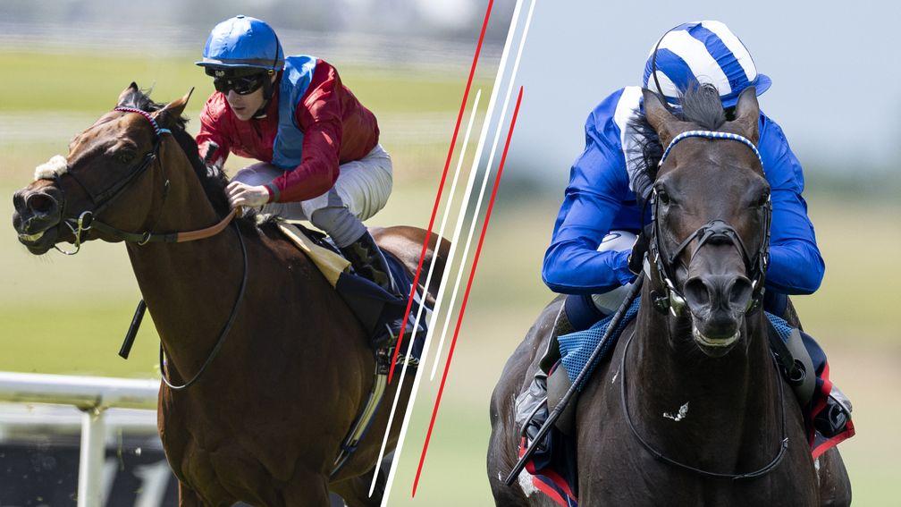 Bay Bridge (left) and Israr: leading contenders in the September Stakes