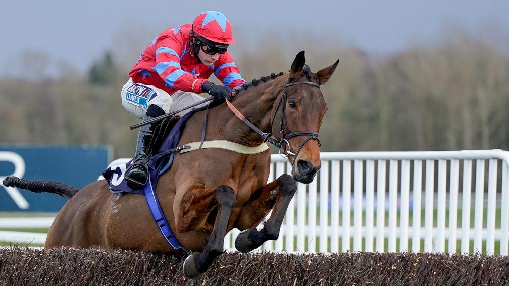 I'd Like To Know: leading contender for £50,000 Bob Champion Cancer Trust Sussex Champion Handicap Chase